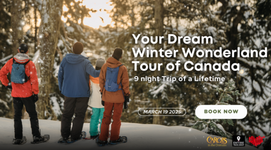 Copy of Dream Winter Wonderland Tour of Canada Website